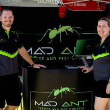 Mad ant pest control redcliffe (2)
